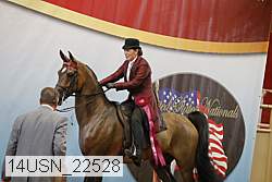 14usn_22528 proof