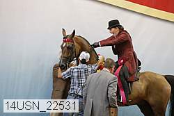 14usn_22531 proof