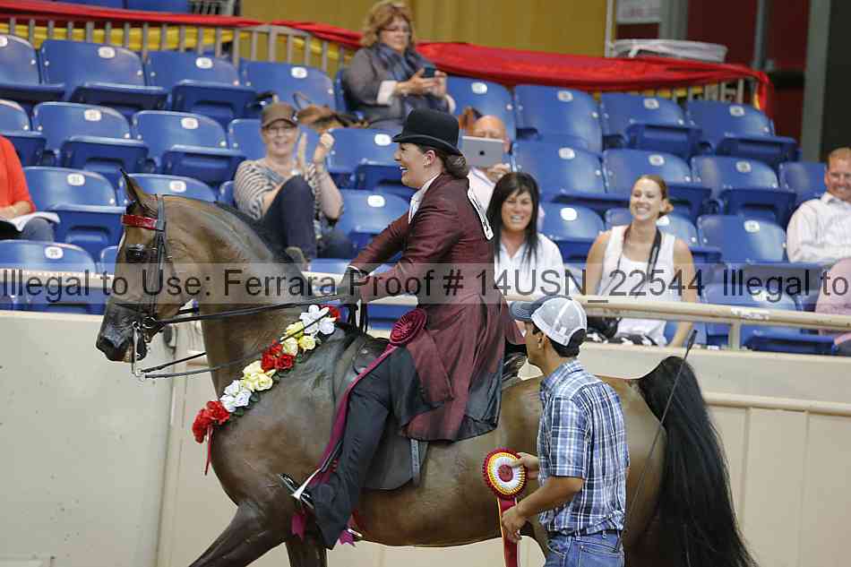 Proof 14usn_22544