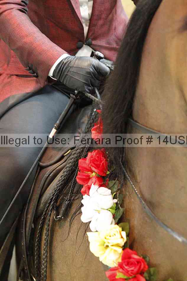 Proof 14usn_22555