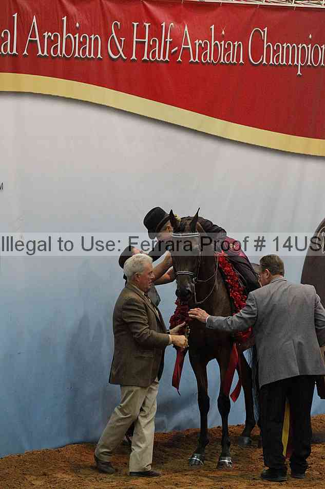 Proof 14usn_22565