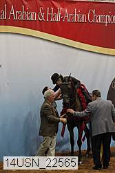 14usn_22565 proof