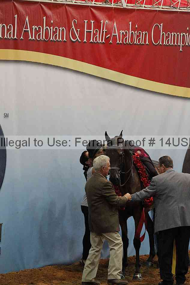 Proof 14usn_22566