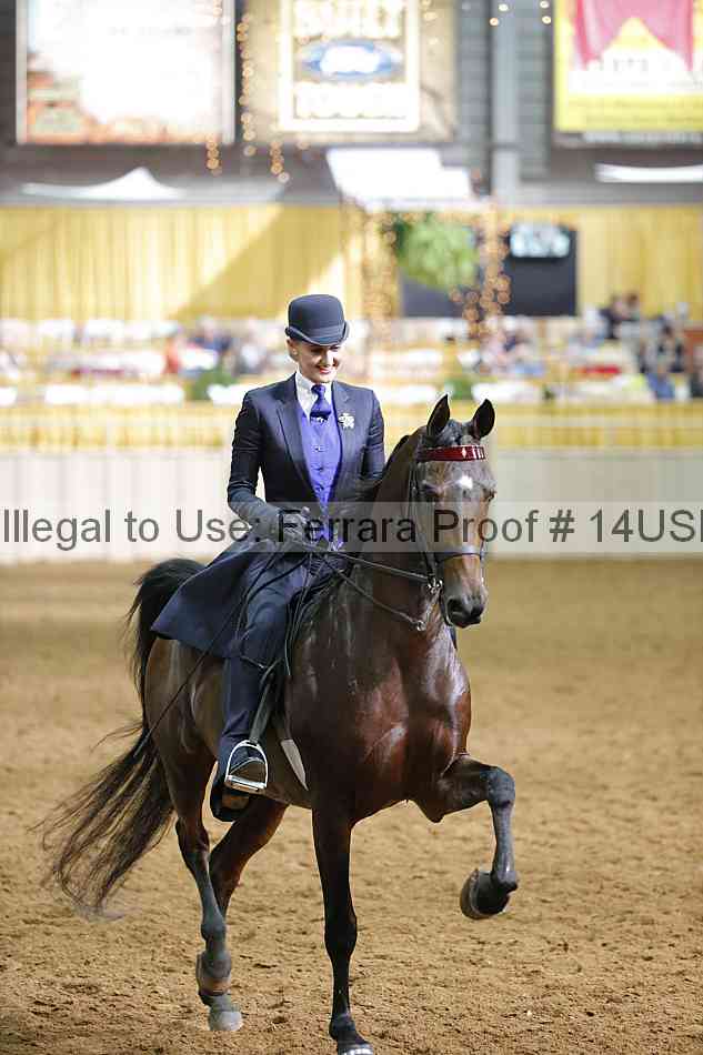 Proof 14usn_22632