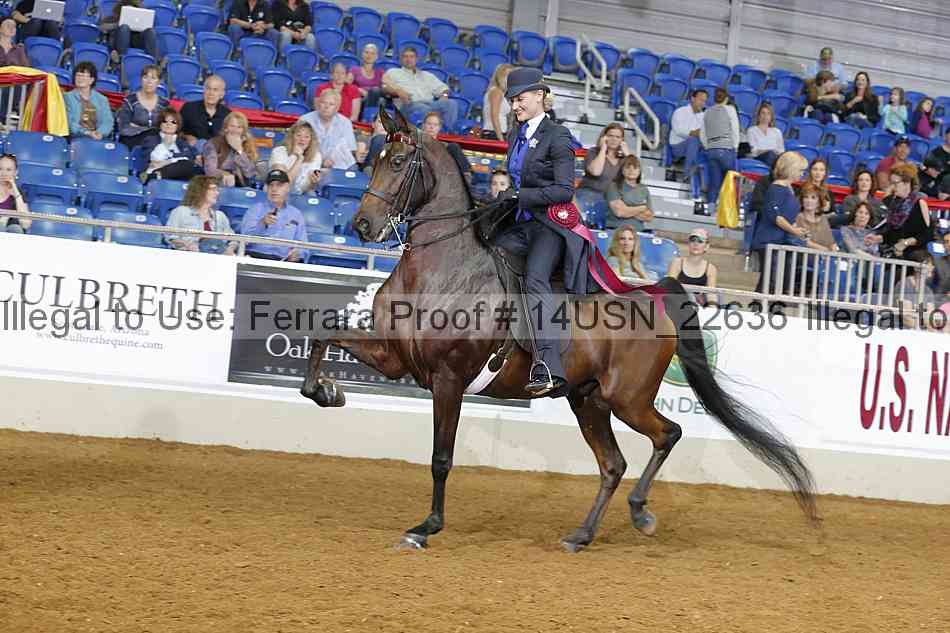 Proof 14usn_22636