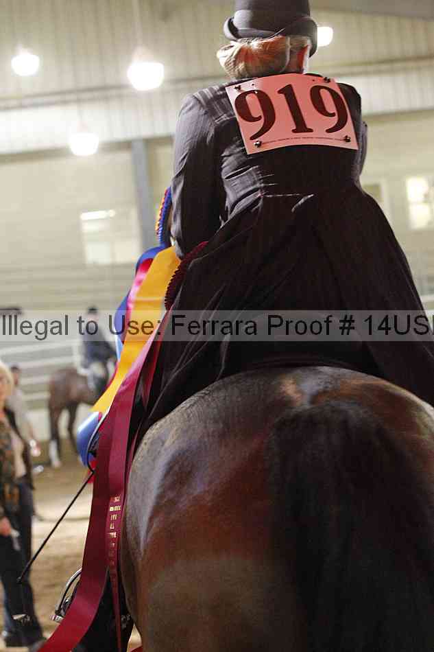 Proof 14usn_22683