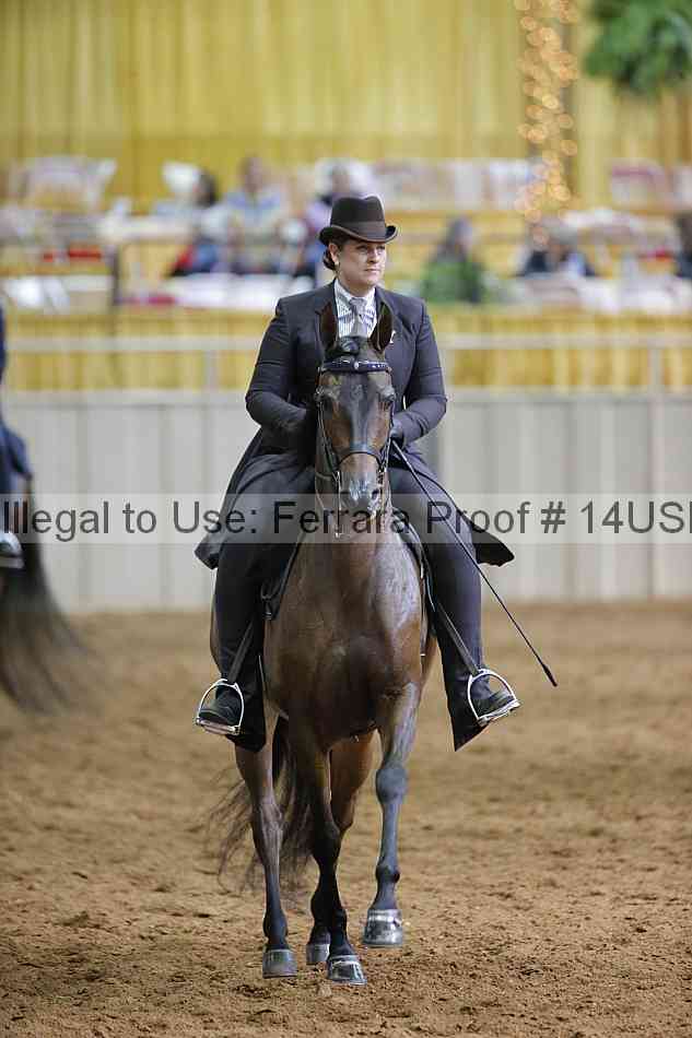 Proof 14usn_16614