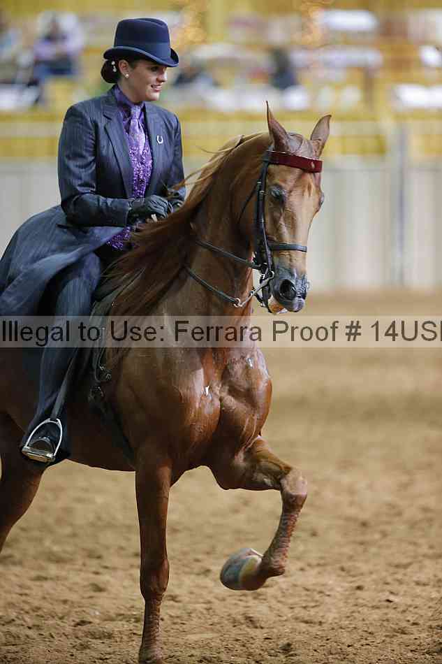 Proof 14usn_16617