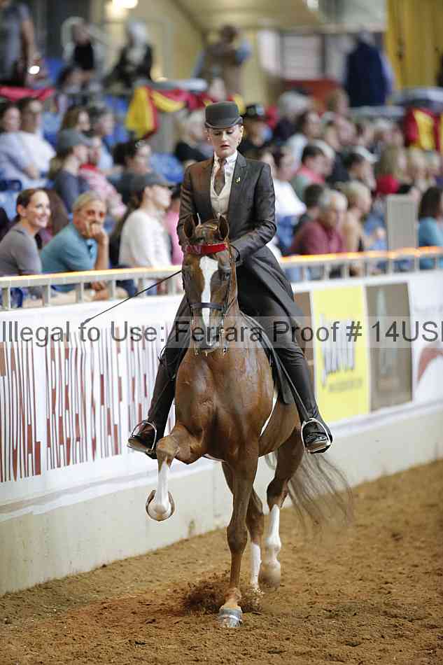Proof 14usn_16636