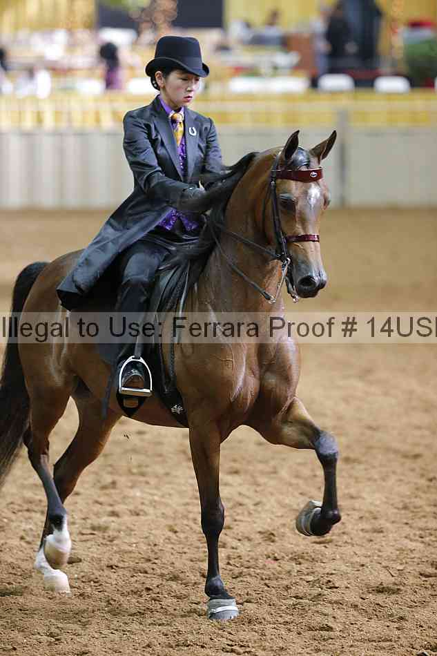 Proof 14usn_16645