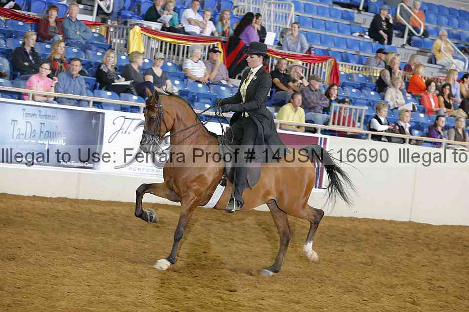 Proof 14usn_16690