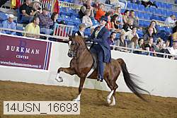14usn_16693 proof