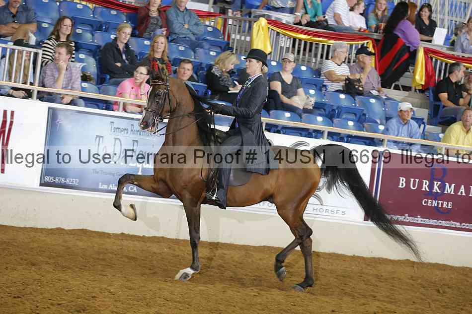 Proof 14usn_16699