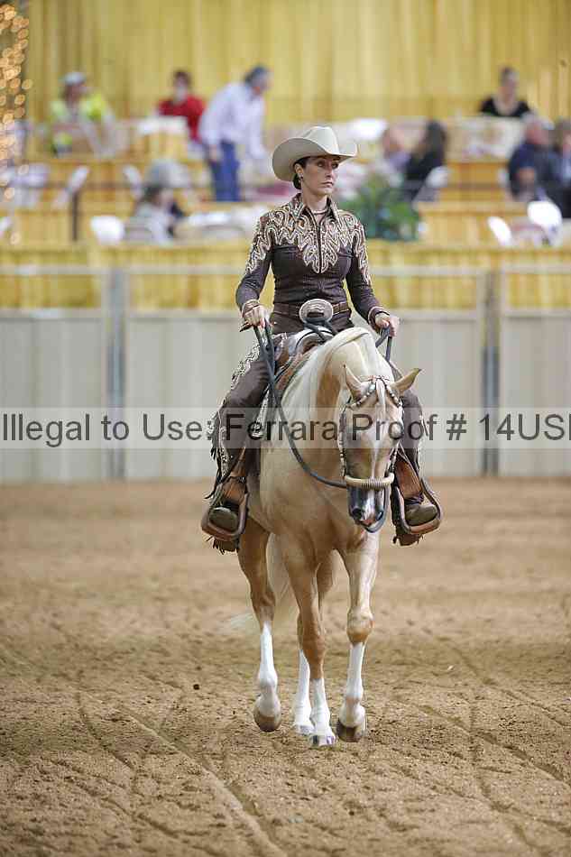Proof 14usn_03233