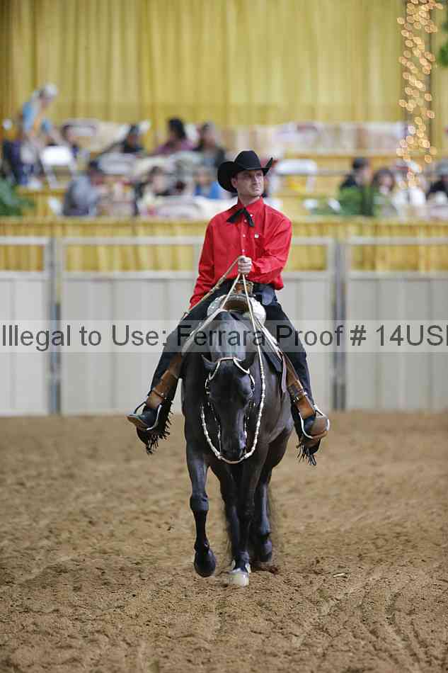 Proof 14usn_03237