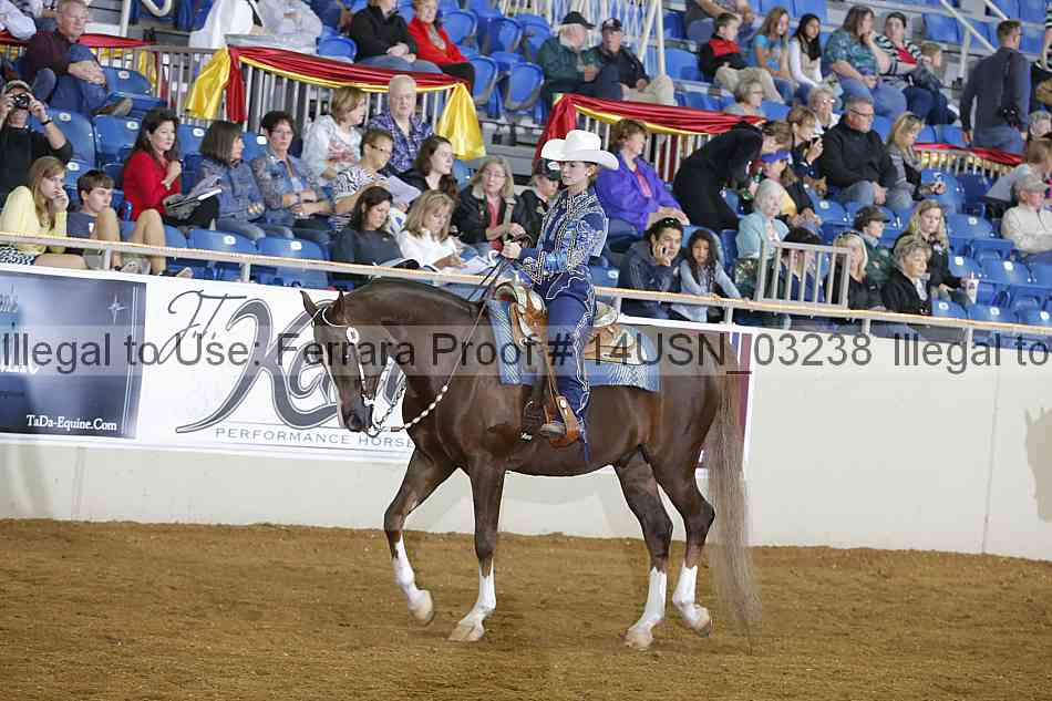 Proof 14usn_03238