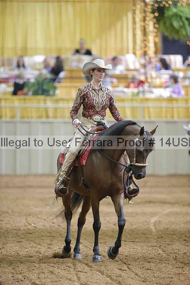 Proof 14usn_03243