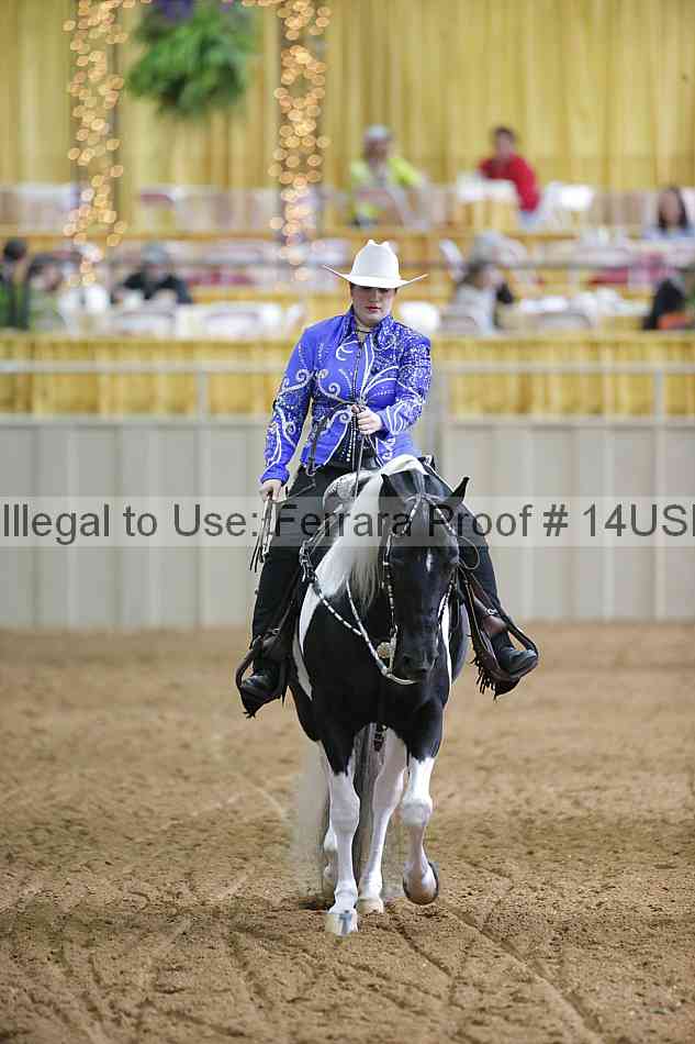 Proof 14usn_03248
