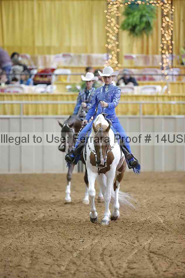 Proof 14usn_03256