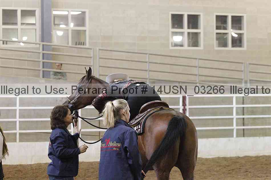 Proof 14usn_03266