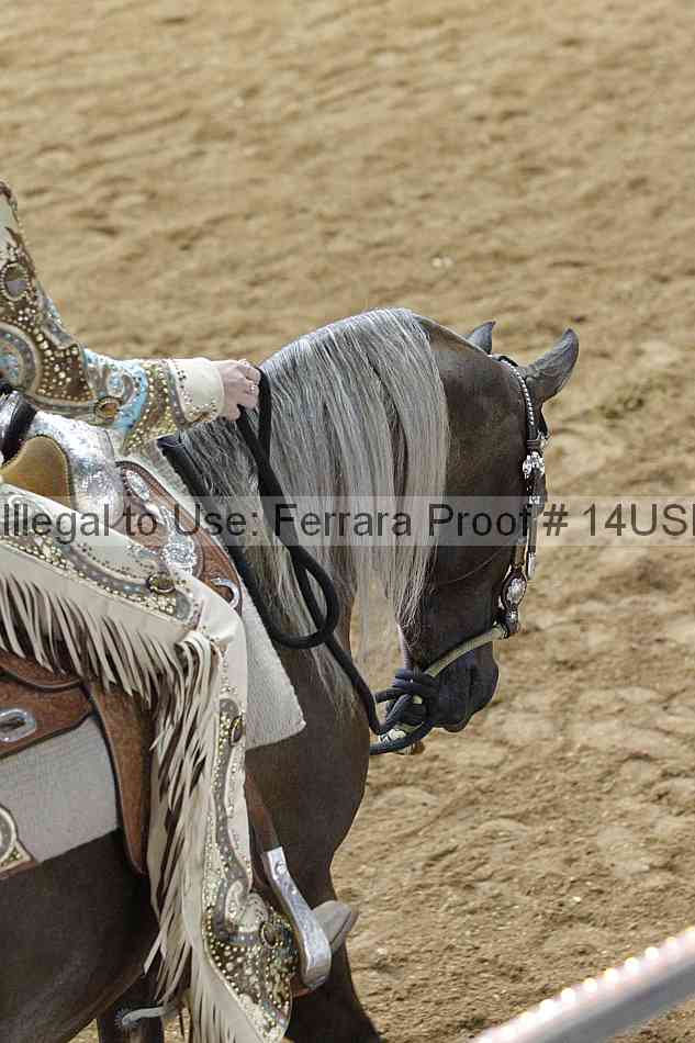 Proof 14usn_03285