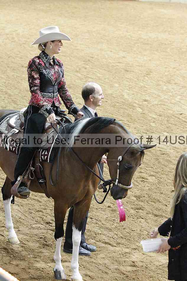 Proof 14usn_03288