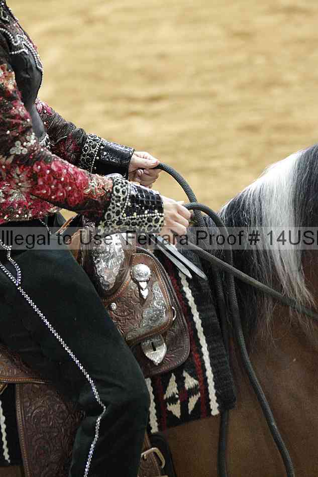 Proof 14usn_03289