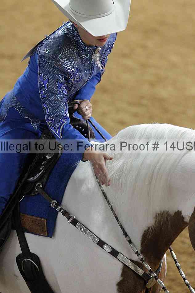 Proof 14usn_03297
