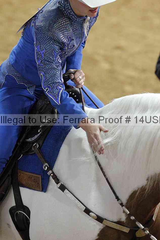 Proof 14usn_03298