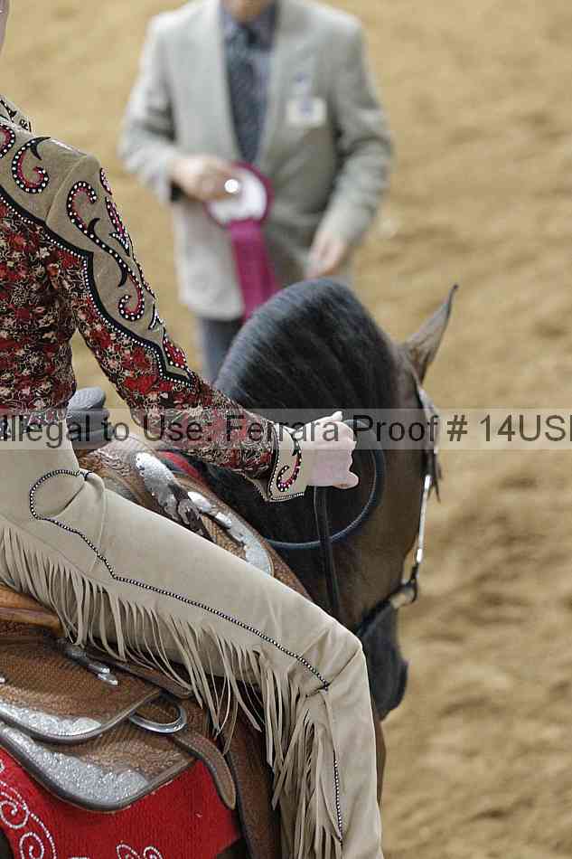 Proof 14usn_03305