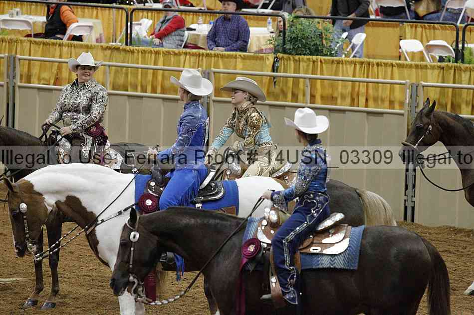 Proof 14usn_03309