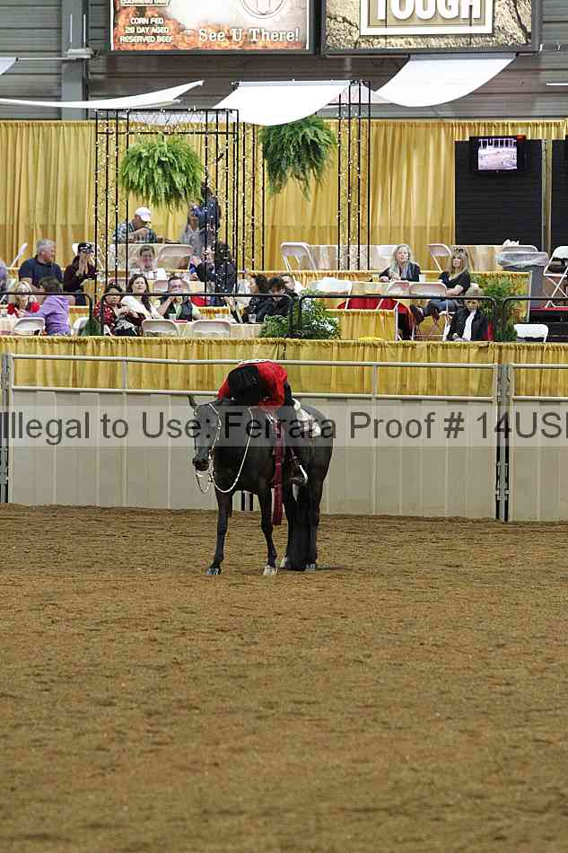 Proof 14usn_03336