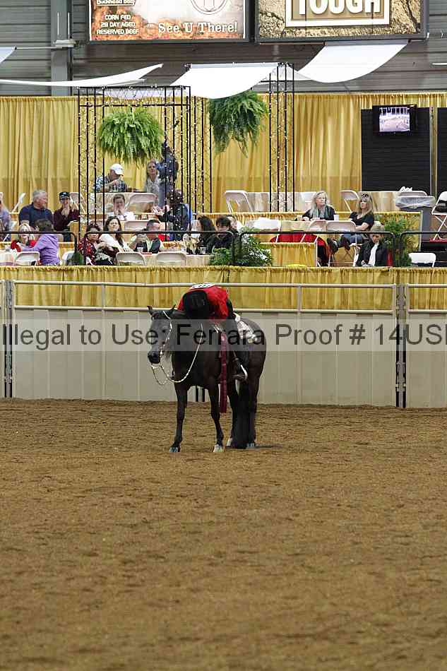 Proof 14usn_03338