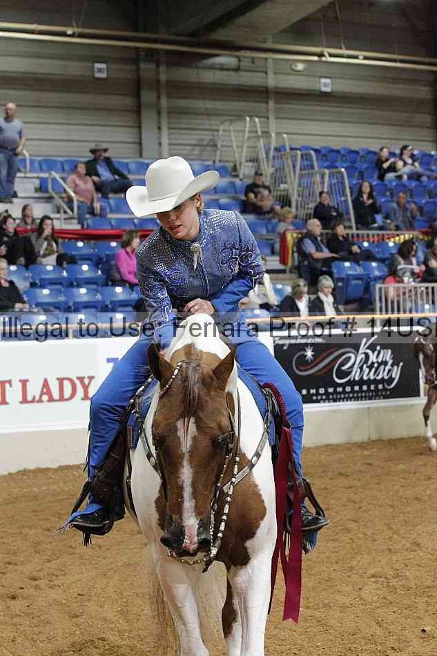 Proof 14usn_03404
