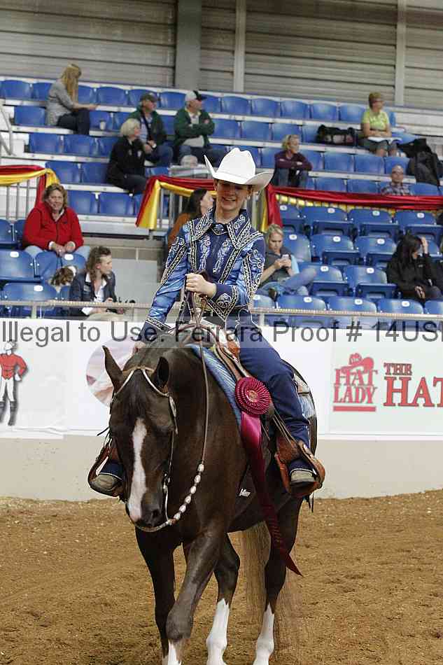 Proof 14usn_03408