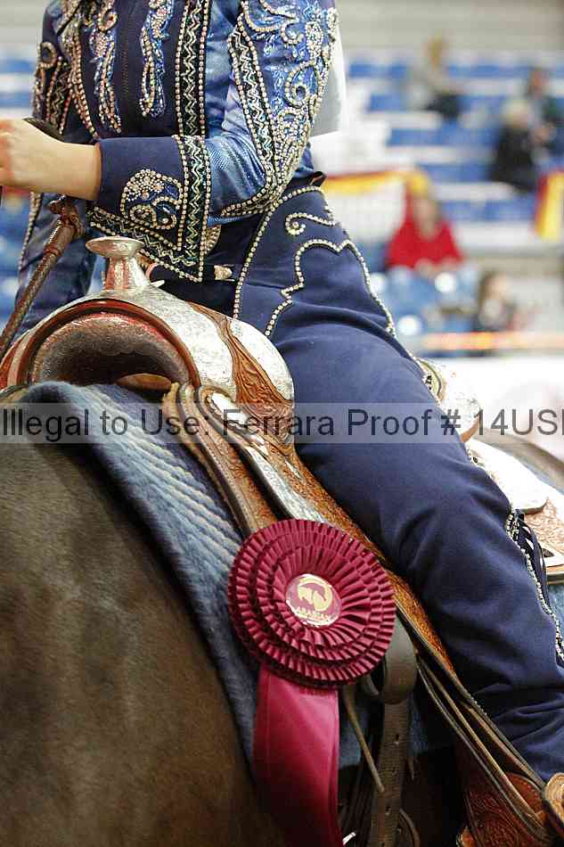Proof 14usn_03411