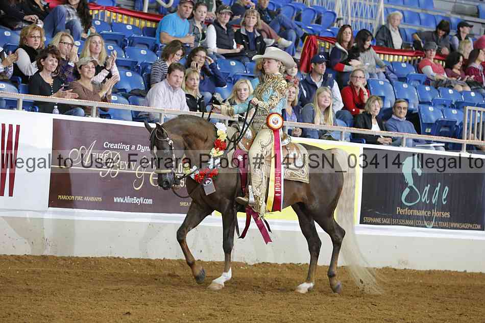 Proof 14usn_03414