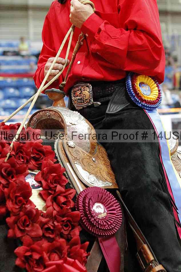 Proof 14usn_03448