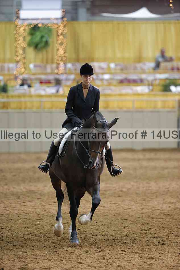 Proof 14usn_20717