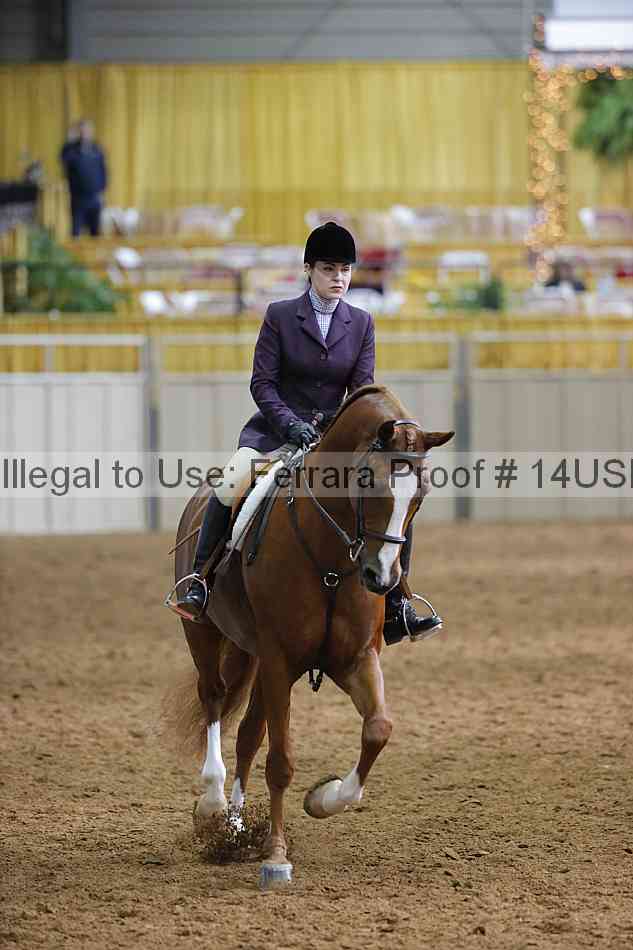 Proof 14usn_20718