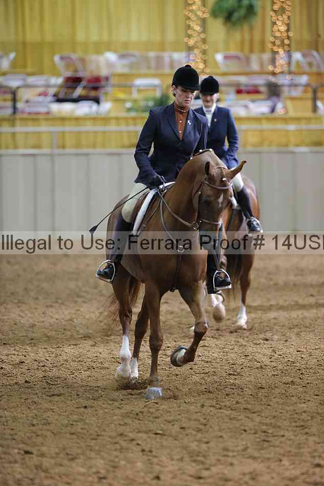 Proof 14usn_20729
