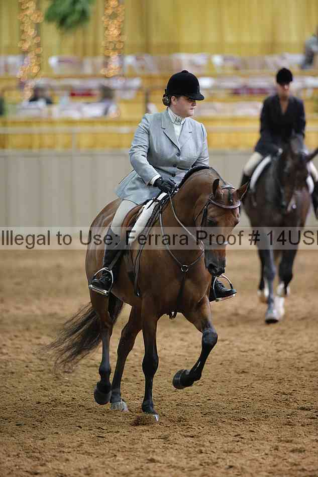Proof 14usn_20731