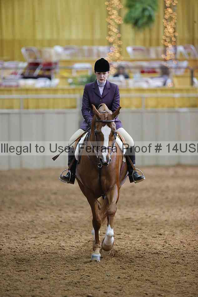 Proof 14usn_20735