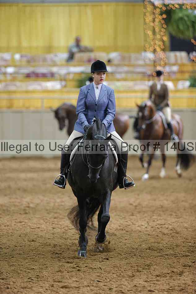 Proof 14usn_20736