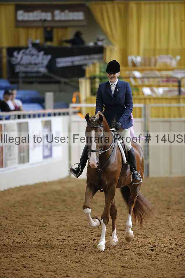 Proof 14usn_20770