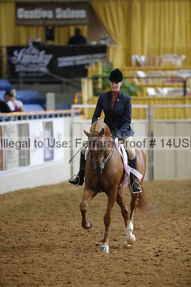 Proof 14usn_20774