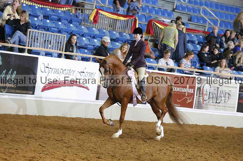 Proof 14usn_20779
