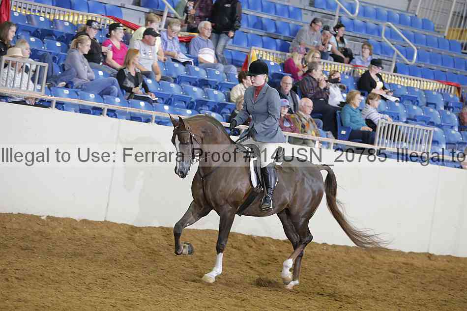 Proof 14usn_20785