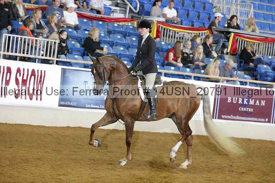 Proof 14usn_20791