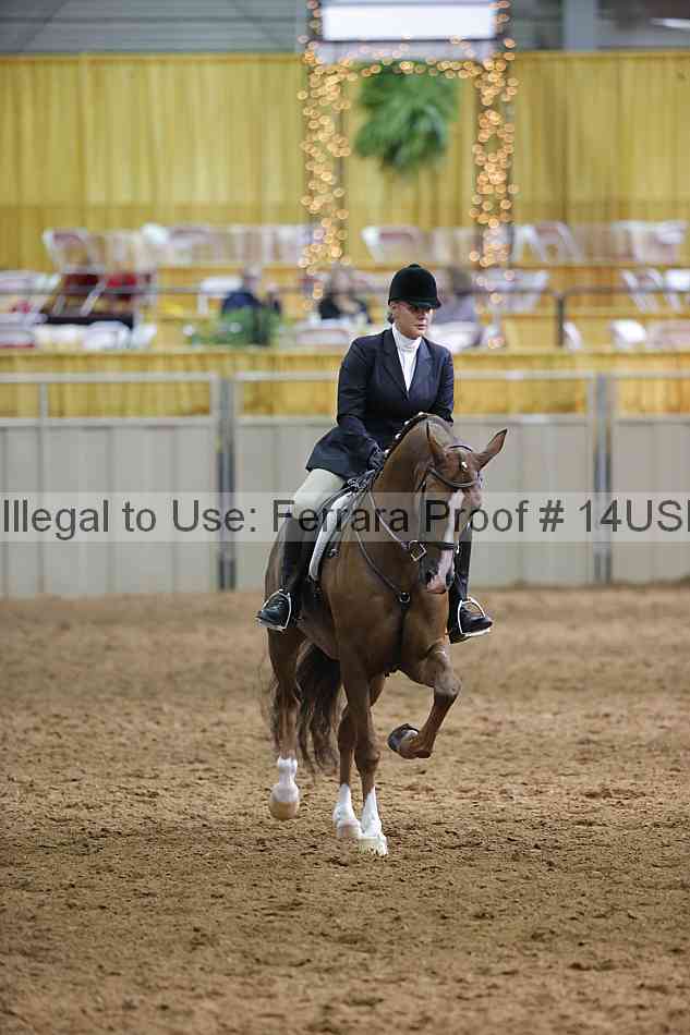 Proof 14usn_20796